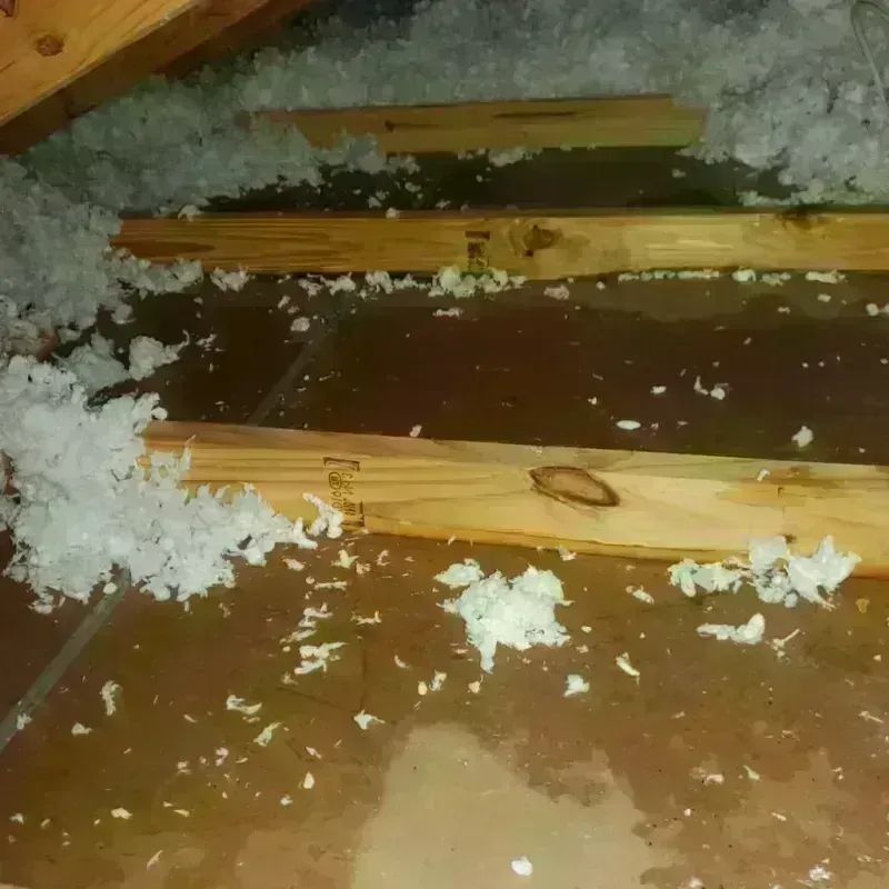 Attic Water Damage in City of Buena Vista, VA